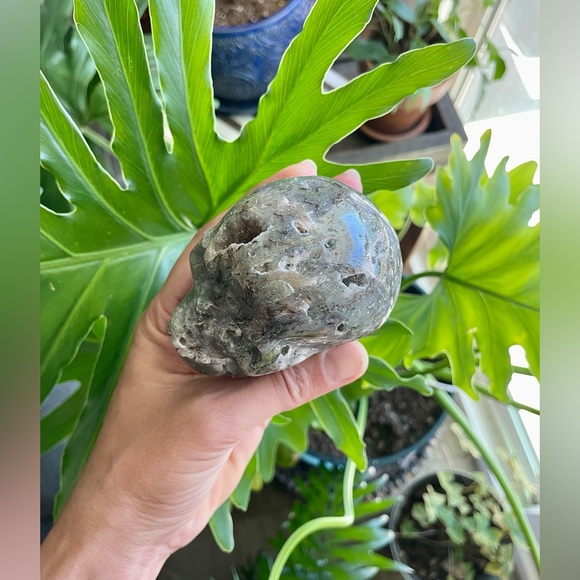 Moss Agate Skull - Picture 6 of 6